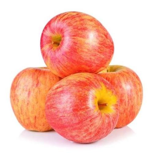 Apple Gala