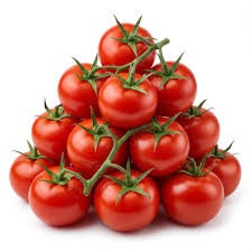 Tomato Premium