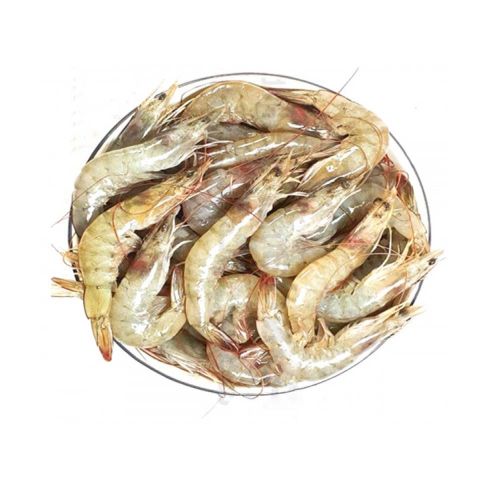 Prawn Medium