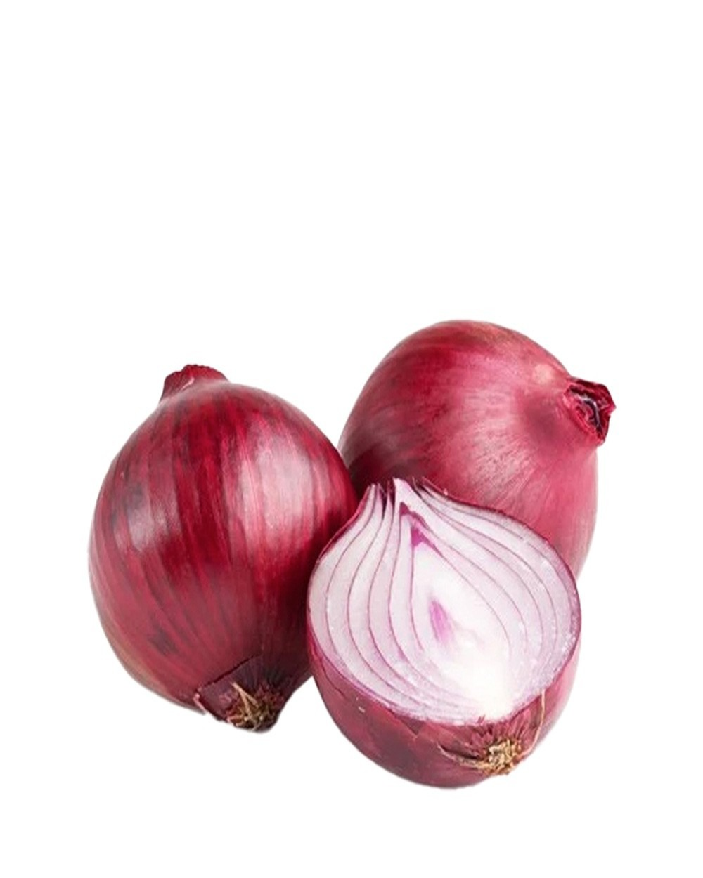 Onion Red