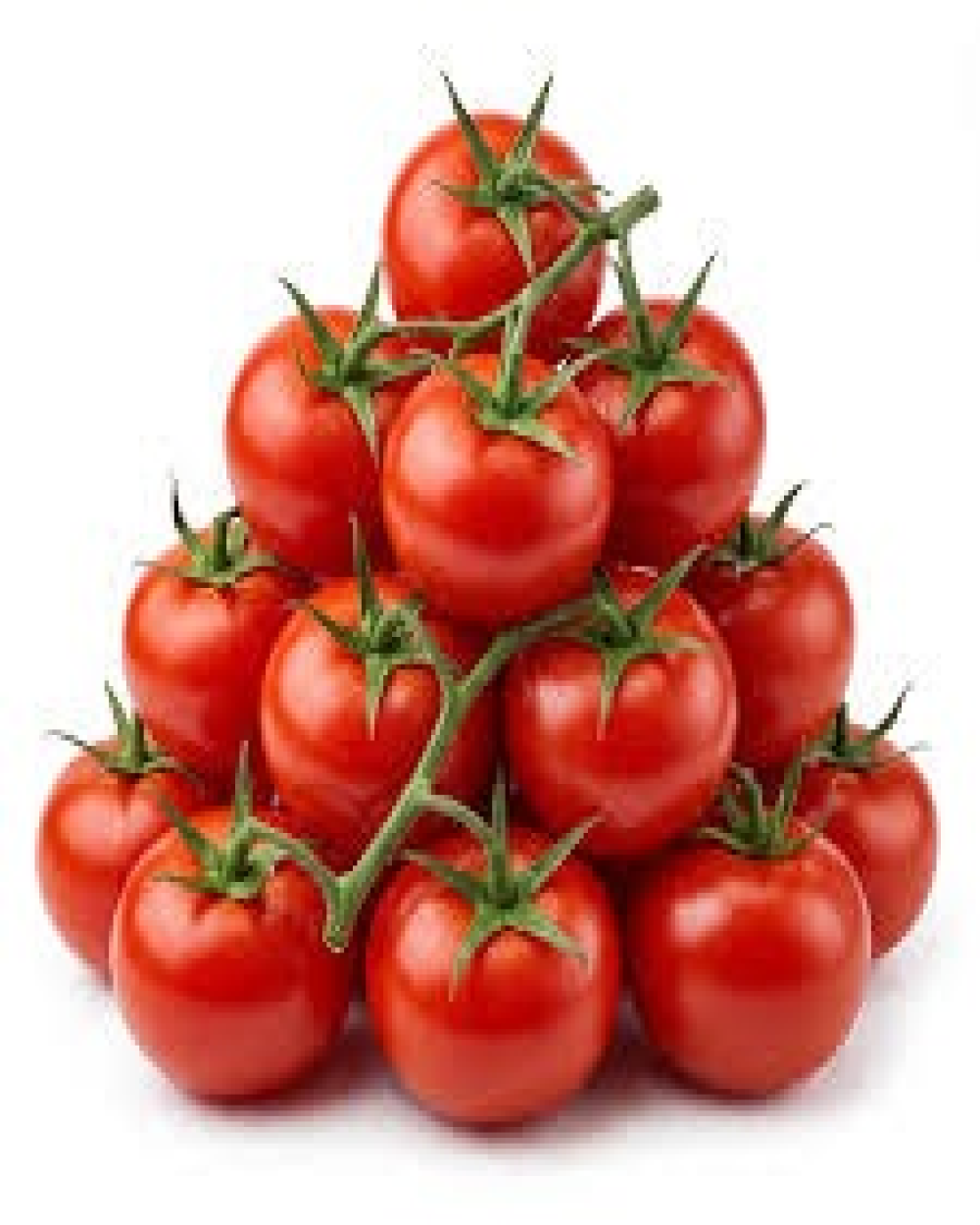 Tomato Premium